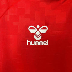 2024 Denmark Home Kit Football kit - Footyb