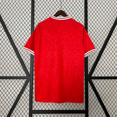2024 Denmark Home Kit Football kit - Footyb