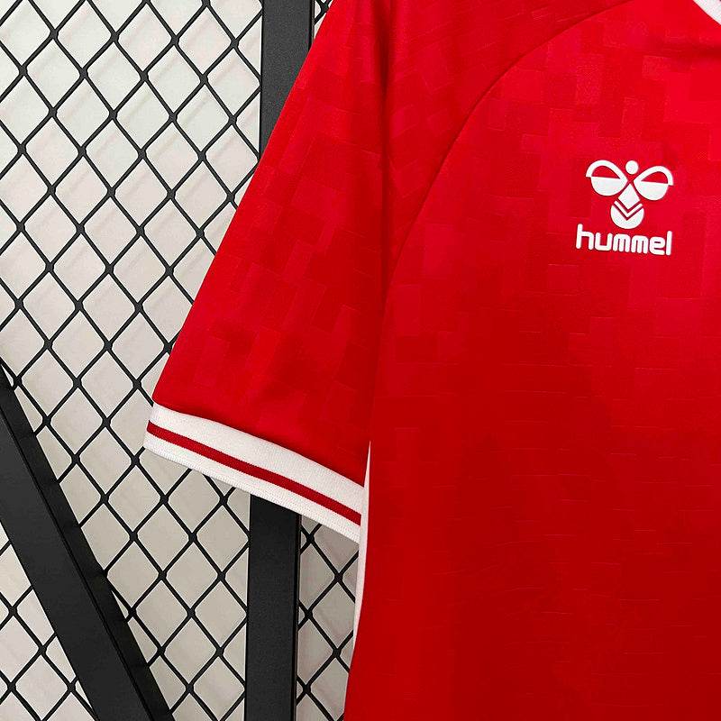 2024 Denmark Home Kit Football kit - Footyb