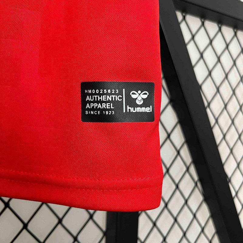 2024 Denmark Home Kit Football kit - Footyb