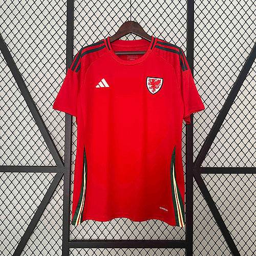 2024 Wales Home Shirt Football kit - Footyb