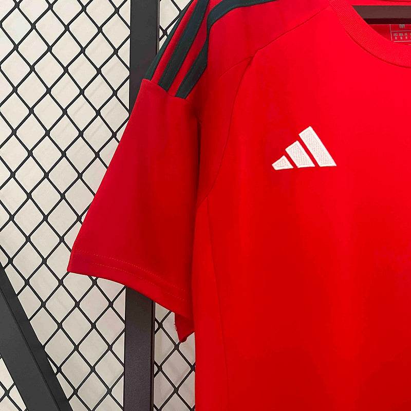2024 Wales Home Shirt Football kit - Footyb
