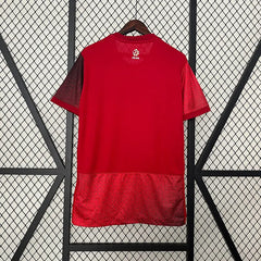 2024 Poland Away Football kit
