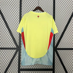 2024 Spain Away Football kit
