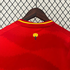 2024 Spain Home Football kit
