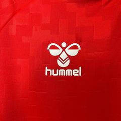2024 Denmark Home Kit Football kit Footyb