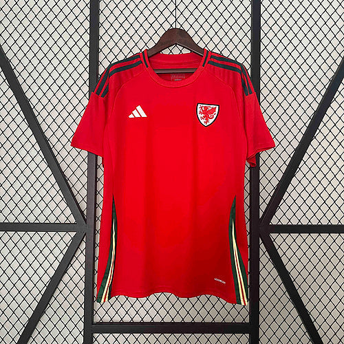 2024 Wales Home Shirt Football kit