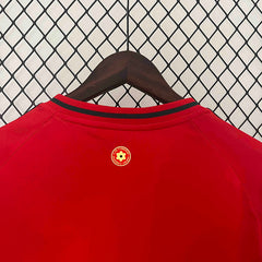 2024 Wales Home Shirt Football kit