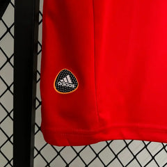 Spain 2010 Home Football kit